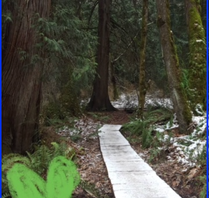 instagram_story_filters